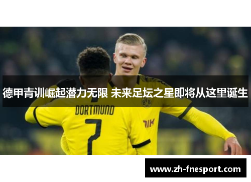 德甲青训崛起潜力无限 未来足坛之星即将从这里诞生