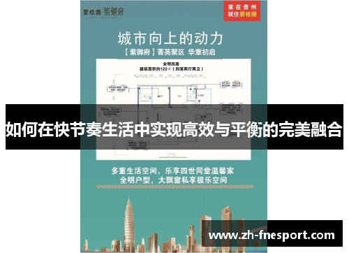 如何在快节奏生活中实现高效与平衡的完美融合